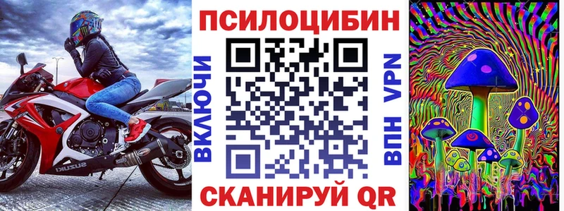 Галлюциногенные грибы Psilocybe  mega ТОР  Тында 