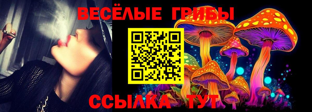 Галлюциногенные грибы мицелий  Вход с VPN  наркота  Тында 