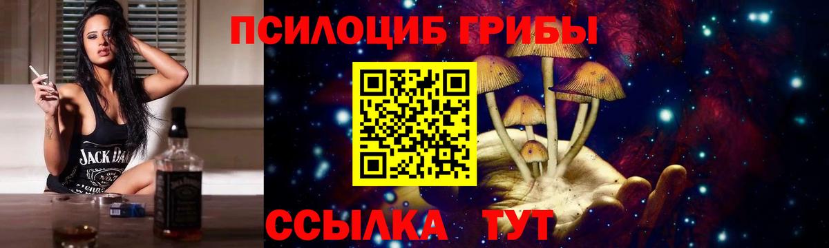 Псилоцибиновые грибы прущие грибы Тында